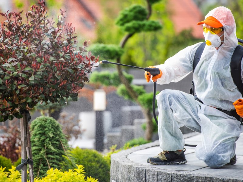 Yahyalı Haşere İlaçlama